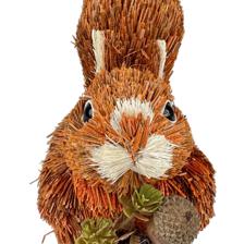 ARDILLA DECOR - 202-2500203