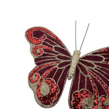 BUTTERFLY - 202-4300061