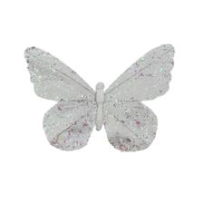 BUTTERFLY - 202-4300063