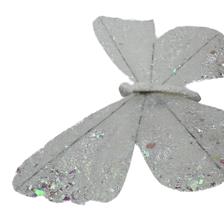 BUTTERFLY - 202-4300063