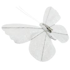 BUTTERFLY - 202-4300063