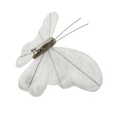 MARIPOSA DECOR - 202-4300066