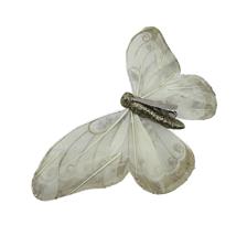 MARIPOSA DECOR - 202-4300066