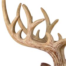 RENO DECOR - 202-5300050