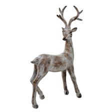 deer - 202-6900018