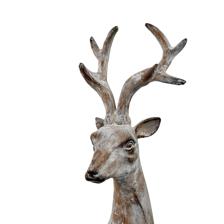 deer - 202-6900018