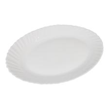 PLACA DE VIDRO 6 SURT 12ML 21 - 354-120014