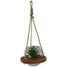 PLANTA C/POTE 11X11X7CM - 411-335967