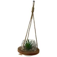 PLANTA C/POTE 11X11X7CM - 411-335967