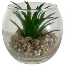PLANTA C/POTE 11X11X7CM - 411-335967