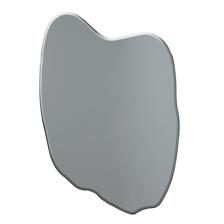 MIRROR 55X82.5X2CM - 412-021134