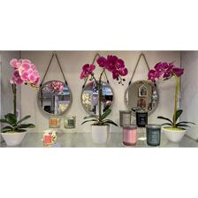 VELA PERFUMADA 8X8X7.4CM - 415-651944