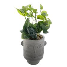 PLANTA COM VASO 10X13X26CM - 415-71573