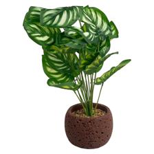 Cement Artificial Flowers - 415-71668