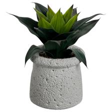 PLANTA ART DECOR 15X15X26CM - 415-71675