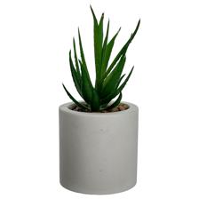PLANTA ART DECOR 7.50X7.50X15C - 415-71707