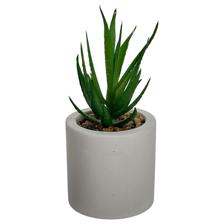 PLANTA ART DECOR 7.50X7.50X15C - 415-71707
