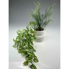 PLANTA SUSPENSA 15,5X15,5X28CM - 415-71758