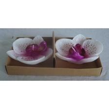 JG VELA 2/S 22x10cm - 415-81006SF