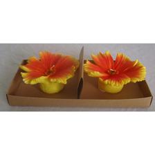 JG VELA 2/S 22x10cm - 415-81008SF