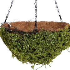 Moss basket - 420-5910299