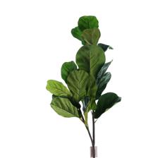 Rama - 420-5910416