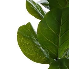 Artificial Leaf - 420-5910417