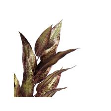 LEAF - 420-5910487
