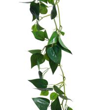 HOJAS COLGANTES 32X16CM - 420-5910488