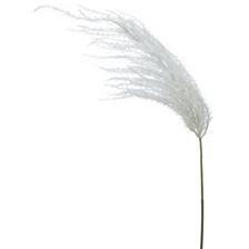 Reed bush - 420-592927