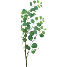 Leaf - 420-592936