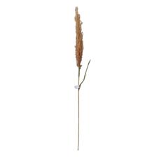 REEDS DCOR - 420-593618