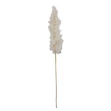 REEDS DCOR - 420-593641