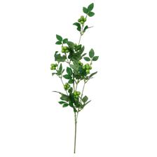 Berry spary - 420-594563