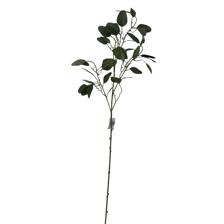 RAMO 104CM - 420-594610