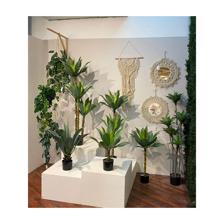 ORNAMENTO DE PAREDE 90X50XCM - 427-6700116