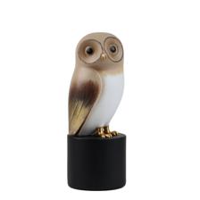OWL - 437-0420407