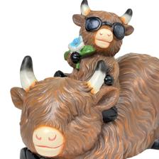 COWS DCOR - 437-8220002