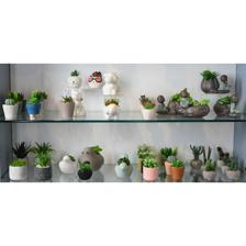 PLANTA ARTIF C/POTE - 439-356800