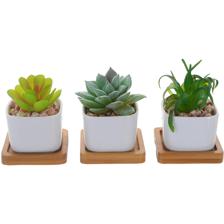 3ASST PLASTIC PLANT IN CERAMICPOT W/ BAMBOO TRAY - 439-356833