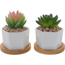 PLANTA ARTIF COM VASO 2SURT 8X8X - 439-356834