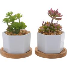 PLANTA ARTIF COM VASO 2SURT 8X8X - 439-356835
