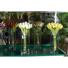 POTE 2surt 7X10.5X6CM - 439-356888