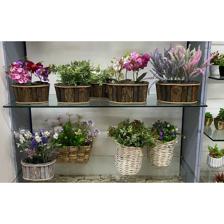 PLANTA C/POTE 22X14X20CM - 439-357078