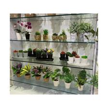 4/S PLASTIC PLANT IN CERAMIC POT - 439-357578