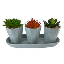 4/S PLASTIC PLANT IN CERAMIC POT - 439-357579