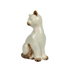 cat - 441-628411