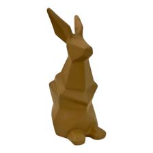 COR DE COELHO 10,5X13,5X26,5 CM - 442-48990