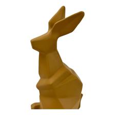 COR DE COELHO 10,5X13,5X26,5 CM - 442-48990