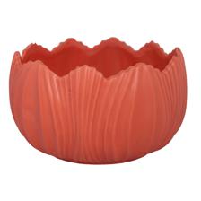 POTE F19X17.5CM - 445-806762